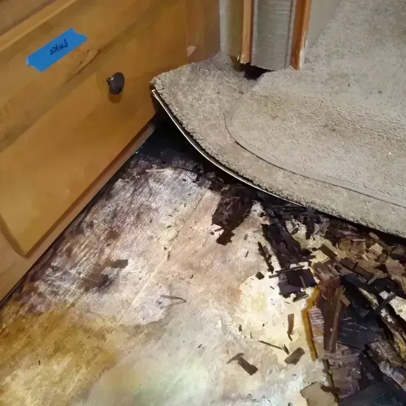 Wood Floor Water Damage in Forest, MS